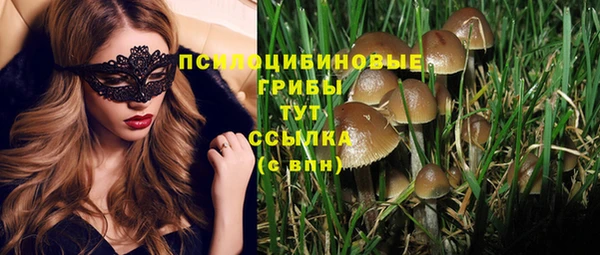 соль курить ск Алексин