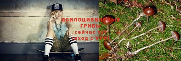 PSILOCYBIN Аркадак