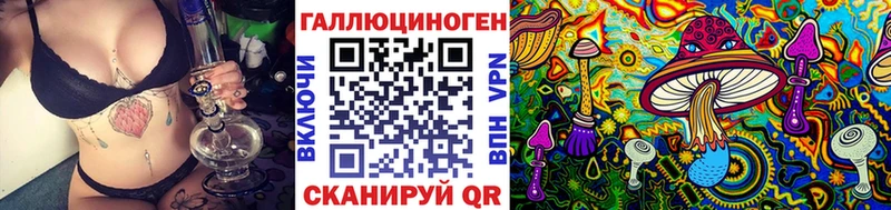 Купить где  Сатка  Галлюциногенные грибы Cubensis 